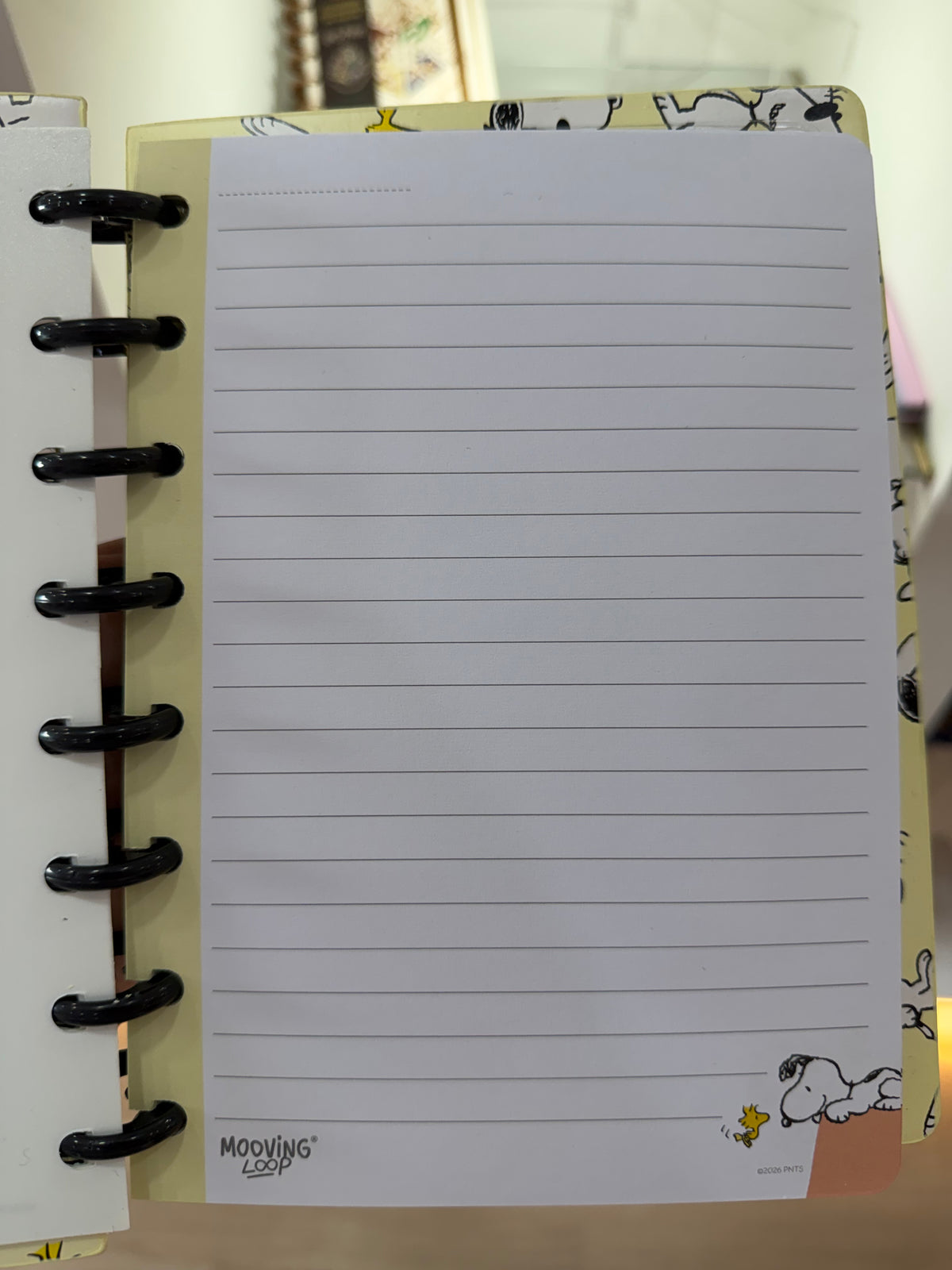 Cuaderno Snoopy con sistema de discos