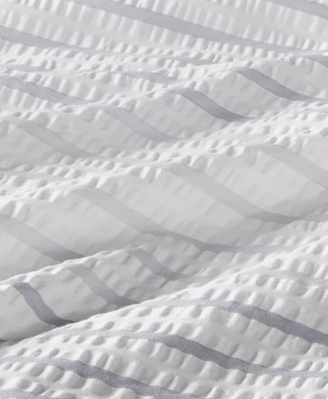 Charter Club Damask Collection Comforter Set, 2 Piezas Blanco, Twin