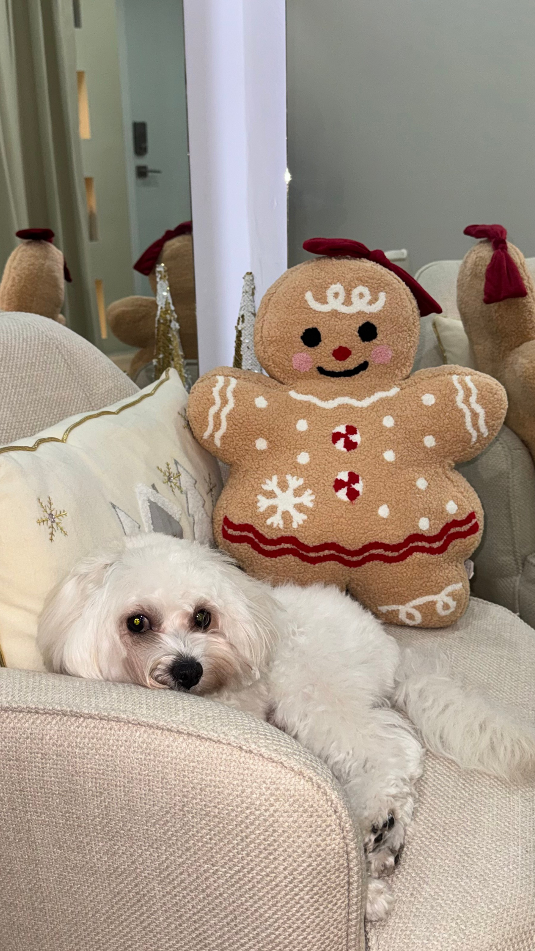 Productos seleccionados