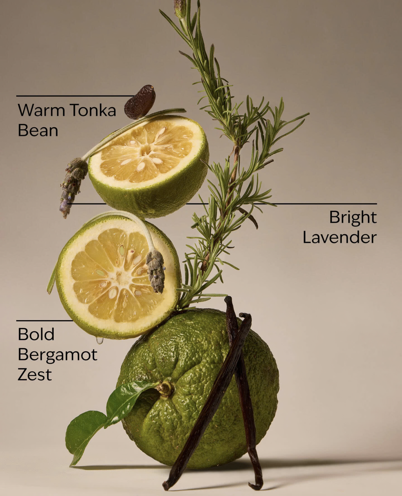 Lavender Bergamot - 3-Wick Candle - White Barn