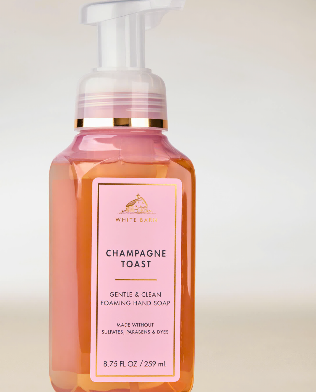 Champagne Toast - Gentle & Clean Foaming Hand Soap - Bath and Body Works