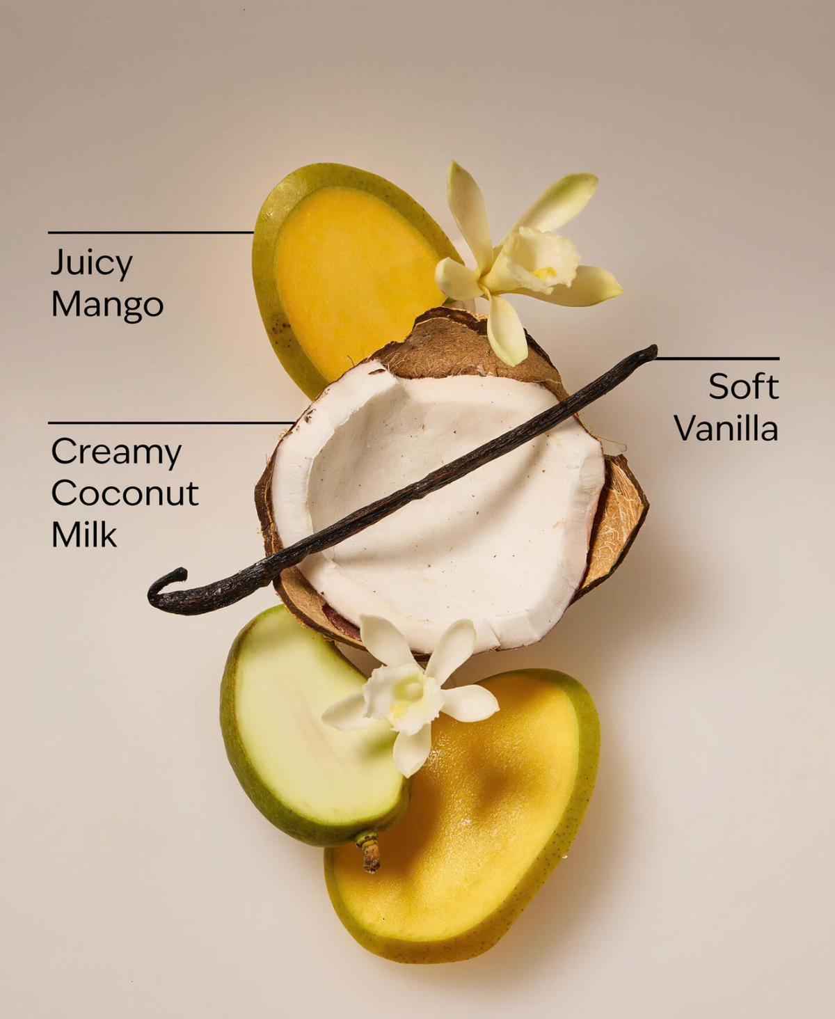Mango & Coconut Milk - Daily Moisturizing Hand Soap - Bath and Body Works