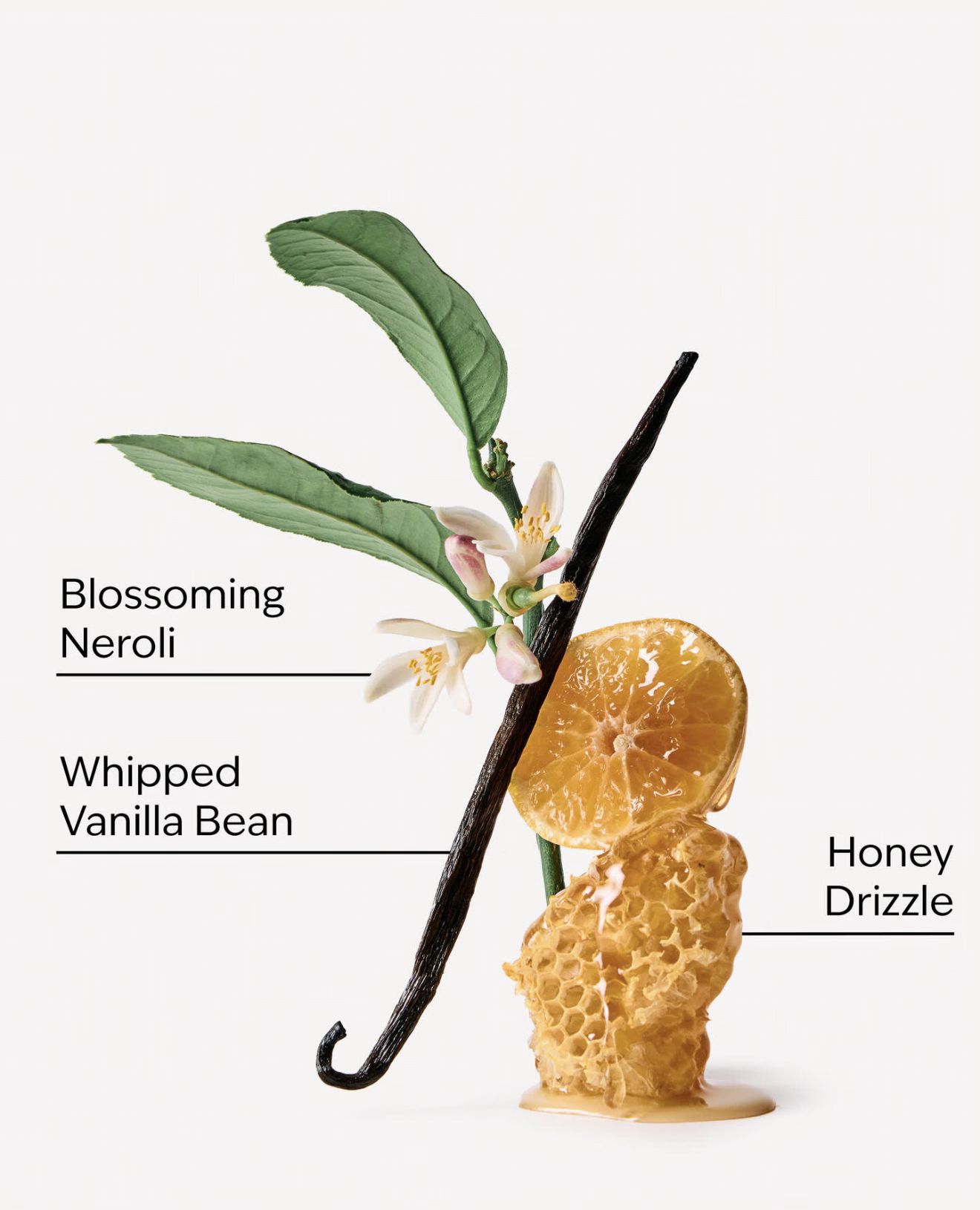 Whipped Honey & Vanilla - Daily Moisturizing Hand Soap - Bath and Body Works
