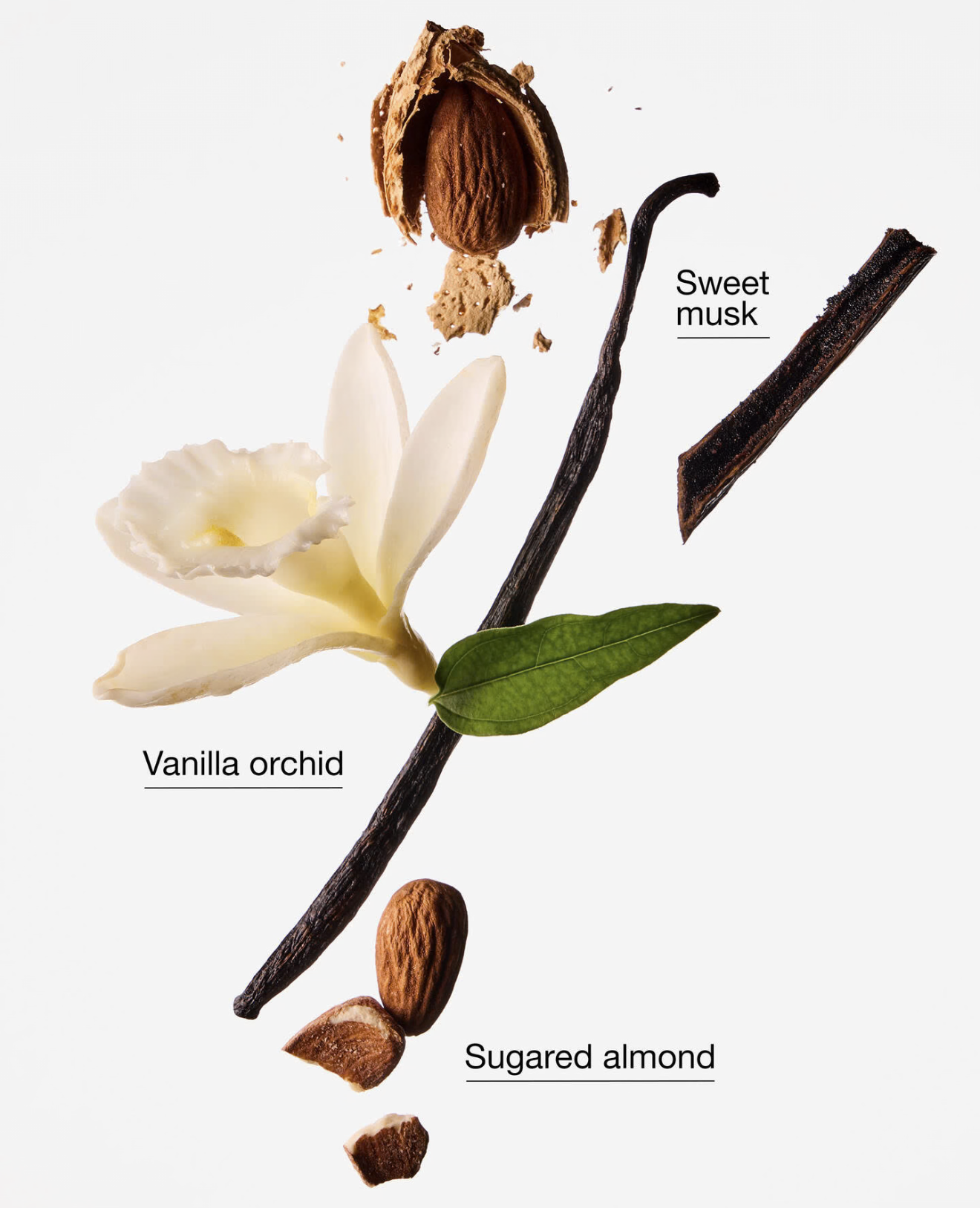 Cozy vajilla almond gel anti bacterial - Bath and Body Works