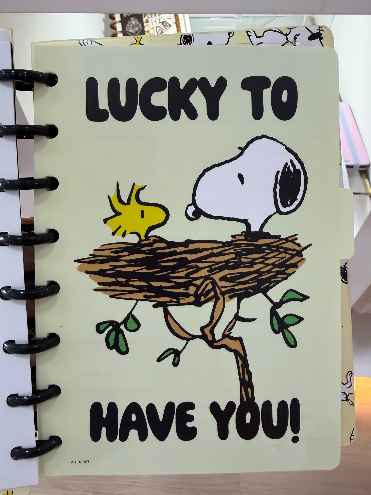 Cuaderno Snoopy con sistema de discos